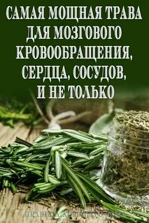 Какая трава улучшает