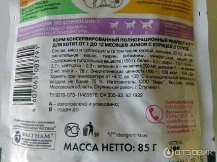 Дарси корм для котят