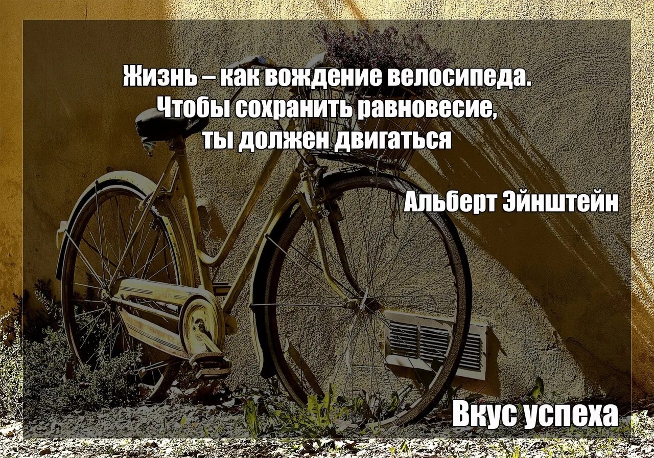 Двигаться чтобы сохранить равновесие. Жизнь как езда на велосипеде. жизнь как велосипед чтобы сохранить равновесие ты должен двигаться. вождение велосипеда. жизнь это как вождение.