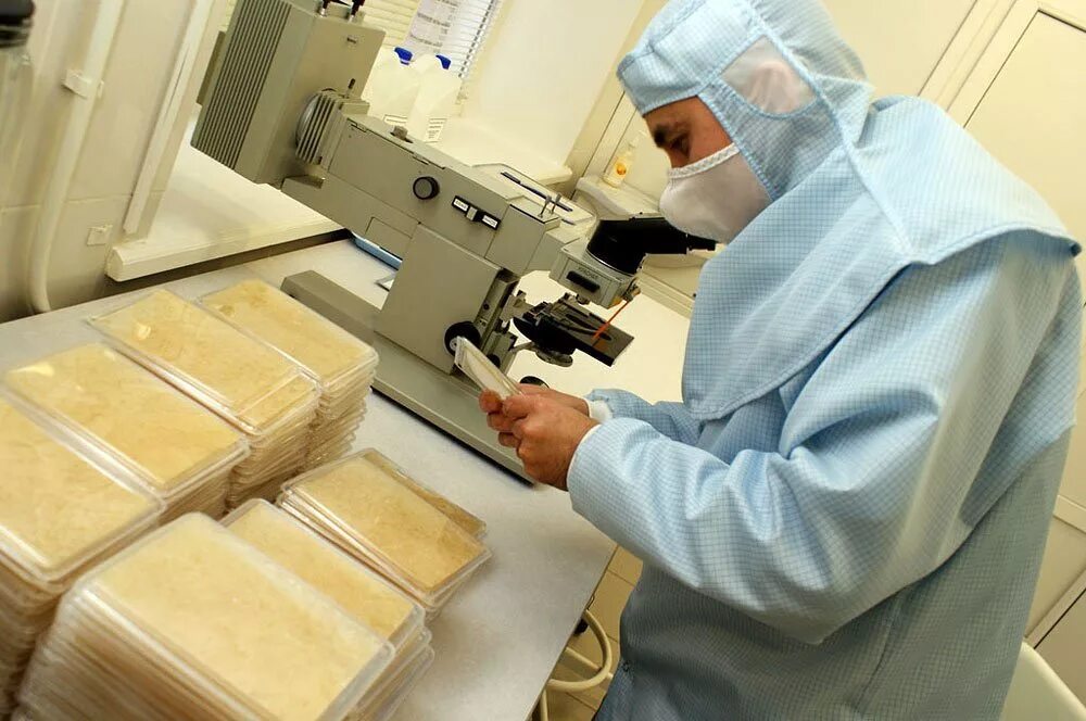 биокожа рахматуллин оренбург. био кожа. био кожа. G derm косметика вторая кожа. био кожа.