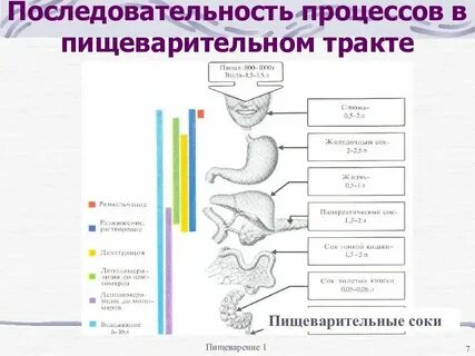 Какие процессы происходят при активизации центров