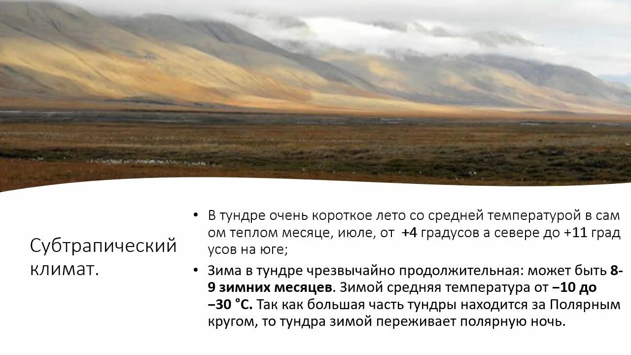 Характеристика тундры в россии. Сочинение про тундру. Вывод о тундре. Вопросы про тундру. Тундра заключение.