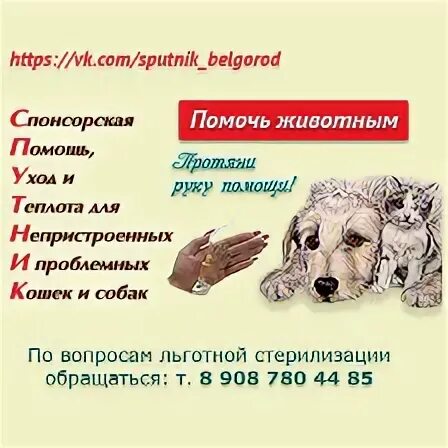Центр льготной стерилизации оренбург