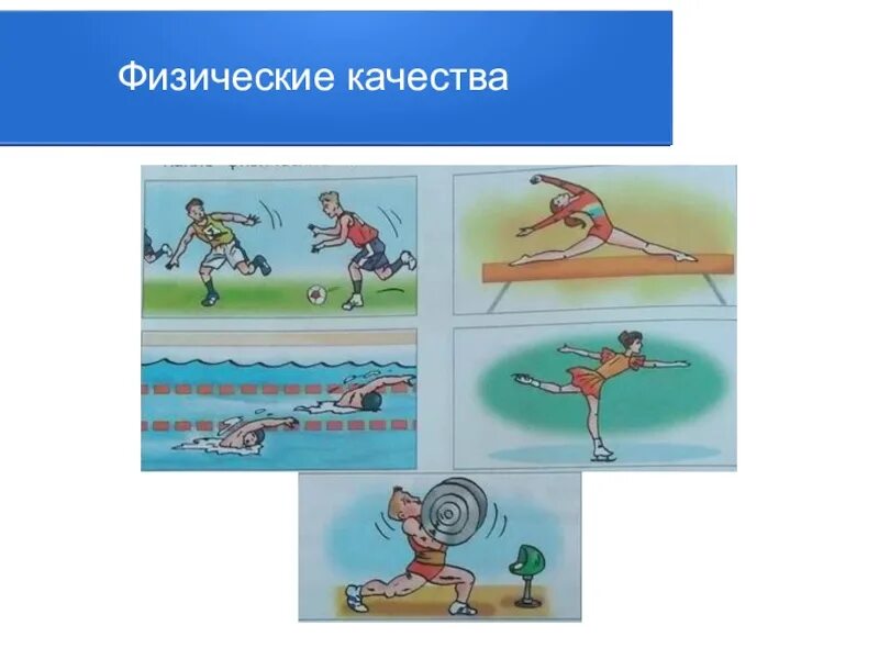 Процесс развития физических качеств и овладения движениями. Физические качества иллюстрации. физические качества рисунок. рисунок к теме физические качества человека. физические качества карточки для детей.