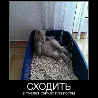Если она пойдет