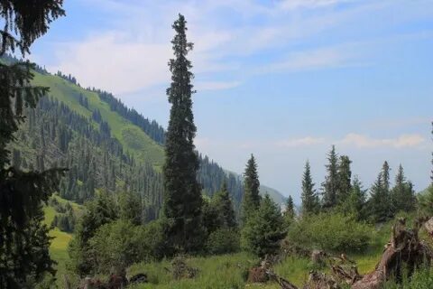 Эротикалық іш киімдегі әдемі қыздардың суреттері