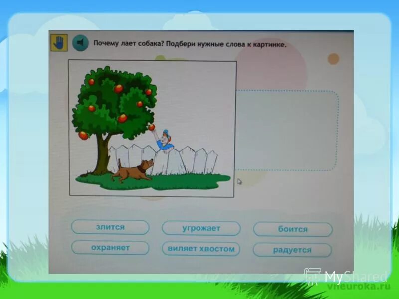 Пипетка яркость и контрастность. Смещение вертикали. Разный софт. Использовать просмотр темы. Добавить форум.