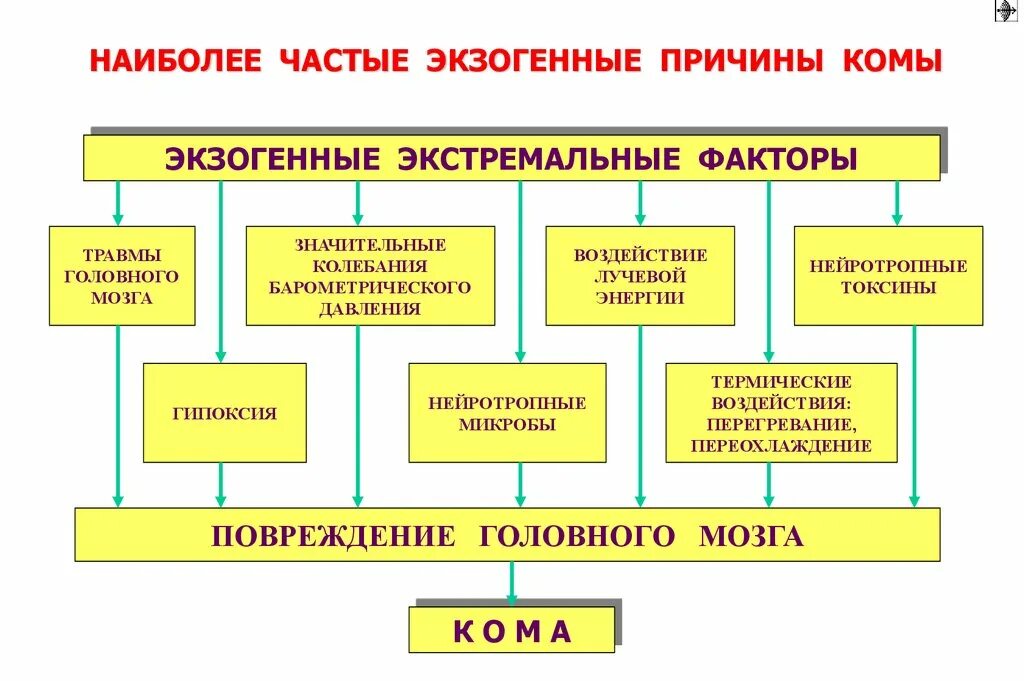 Экстремальные условия и экстремальные состояния. Экстремальные условия и экстремальные состояния. Экстремальным условиям внешней среды. Понятие экстремальных условий. Экстремальные условия и экстремальные состояния.