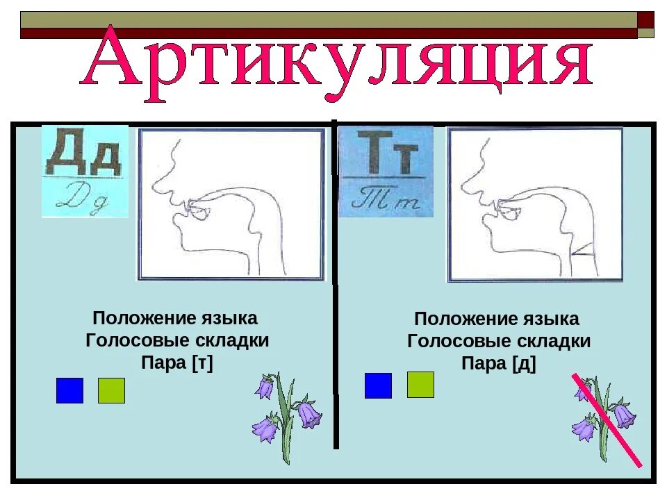 Звук д язык. Звук т положение языка. Звук д. Артикуляция звука т. Т артикуляция положение языка.