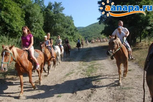 Сукко конные прогулки. Анапа посёлок сукко конные прогулки. конная прогулка поселок сукко. конные прогулки в долине сукко. конные прогулки сукко &quot;конный путь&quot;.