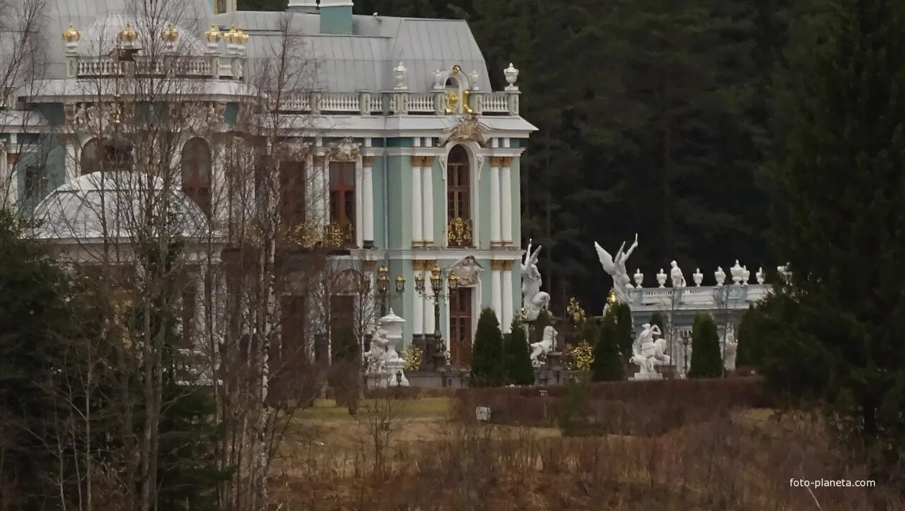 Особняк в вырице. Вырица братья васильевы дворец. васильевский дворец в вырице вырица.