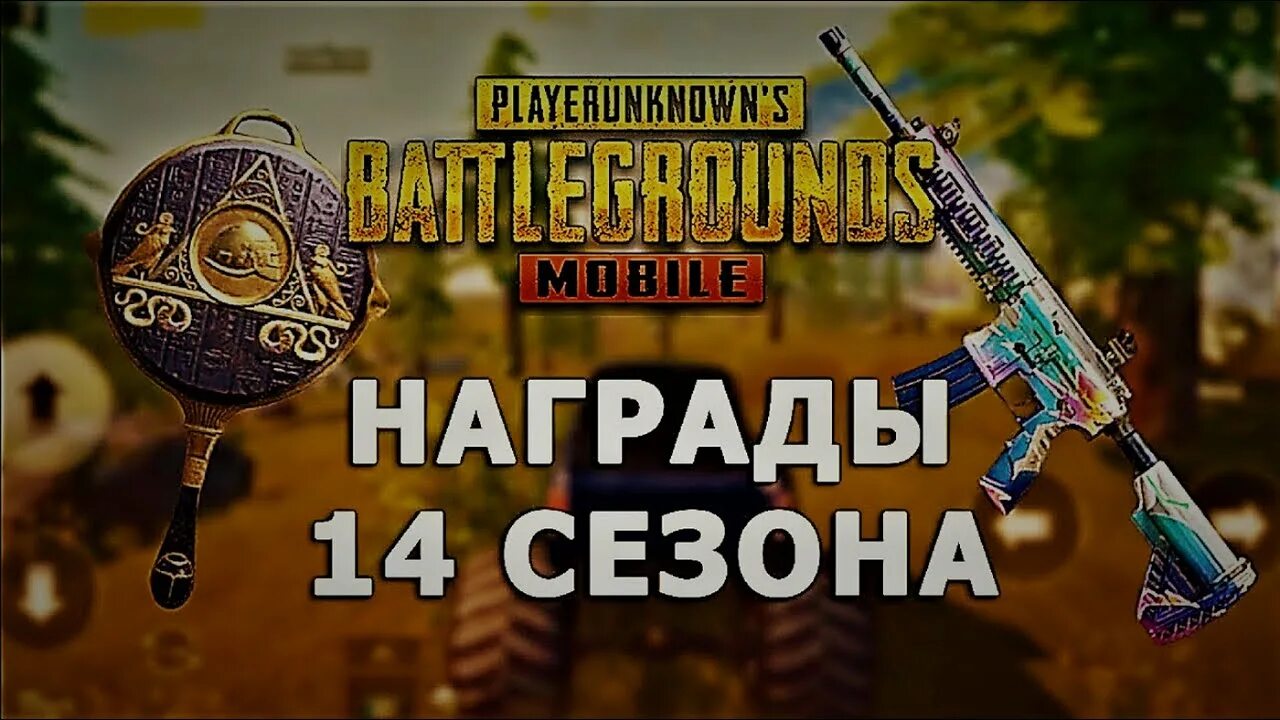 Pubg награды. Награды PUBG.