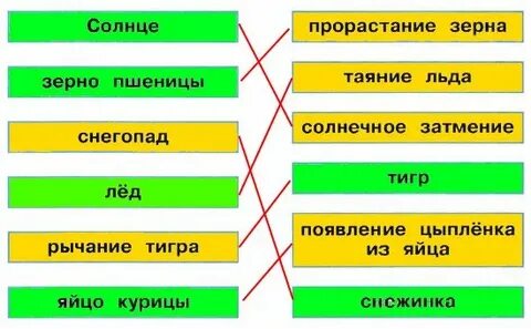 Отметьте зеленым цветом объекты