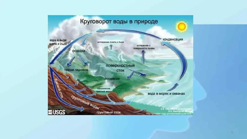 Круговорот воды в природе 6 класс Информатика. Круговорот воды в природе схема. Кругооборот воды в природе. Циркуляция воды в природе.