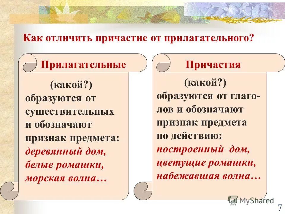Имена прилагательные и имена существительные. Имя существительное имя прилагательное. Прилагательные от существительных. Чем отличаются прилагательные от существительного. Местоимения числительных.