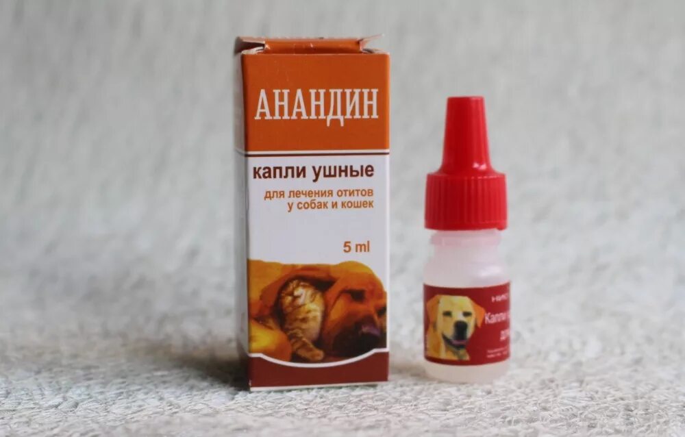 Закапать в нос кошке. Ушные капли для кошек анандин для кошек. Анандин капли ушные (оранжевые) 5мл. Анандин капли ушные для лечения отитов у собак и кошек 5мл. Анандин капли от клещей для кошек.