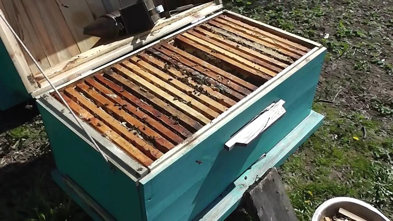Содержание пчел в лежаках