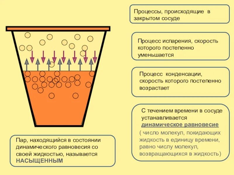 Испаряется ли