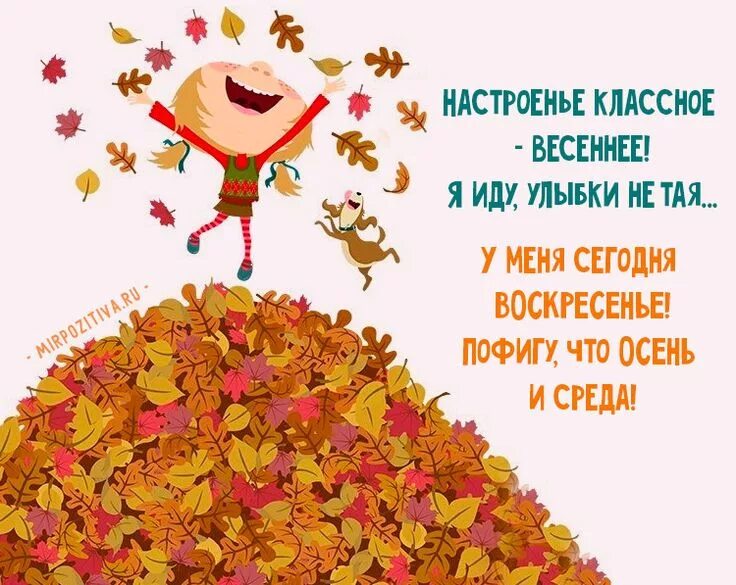 Веселые осенние с юмором добрыми картинки. Шутки про осень. осеннее настроение цитаты. цитаты про осень. осенние статусы.