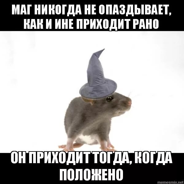 Прийти заранее