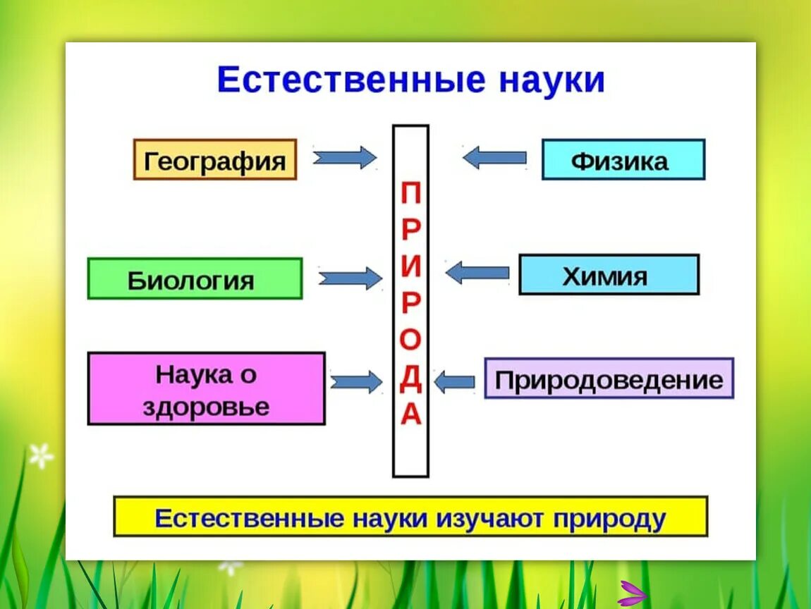 Естественные науки. Естественные науки этт. Естественный. Естественно-научные дисциплины это.