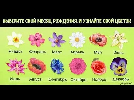 В каком месяце какой цветок