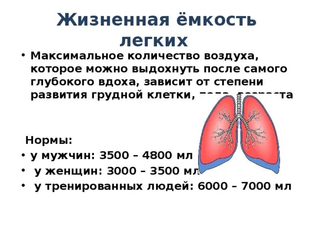 Максимальная жизненная емкость легких. Ёмкость лёгких взрослого человека. Емкость легких у взрослого человека. Объем легких взрослого человека в литрах.