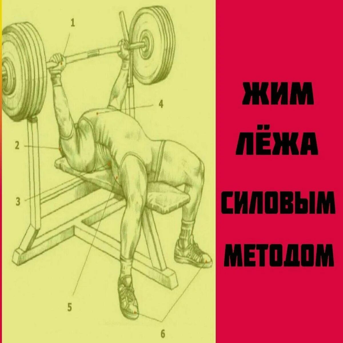 Жим лежа правильная техника. Жим штанги лежа техника. Постановка ног в жиме лежа штанги. Правильная техника жима лежа. Правильность выполнения упражнений жим лежа.