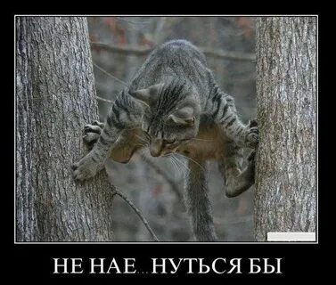 Жить захочешь не так