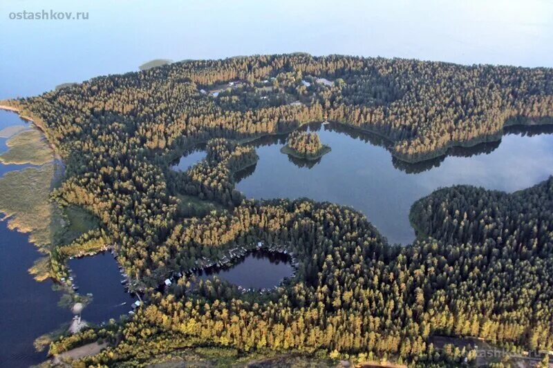 Озеро Селигер Городомля. Остров Городомля на Селигере. Озеро Селигер остров Городомля. Осташков остров Городомля.