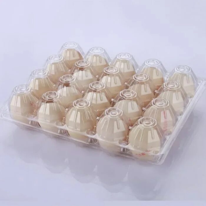 Упаковка для яиц купить. Лоток яиц 20. Ячейки для яиц пластиковые. Пластиковая упаковка для яиц. Ячейка упаковка для яиц.
