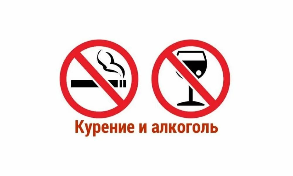 Не пей не кури не употребляй. Не пью. Не пей не кури не употребляй. Не пей не кури не употребляй. Курение и распитие спиртных напитков запрещено табличка.