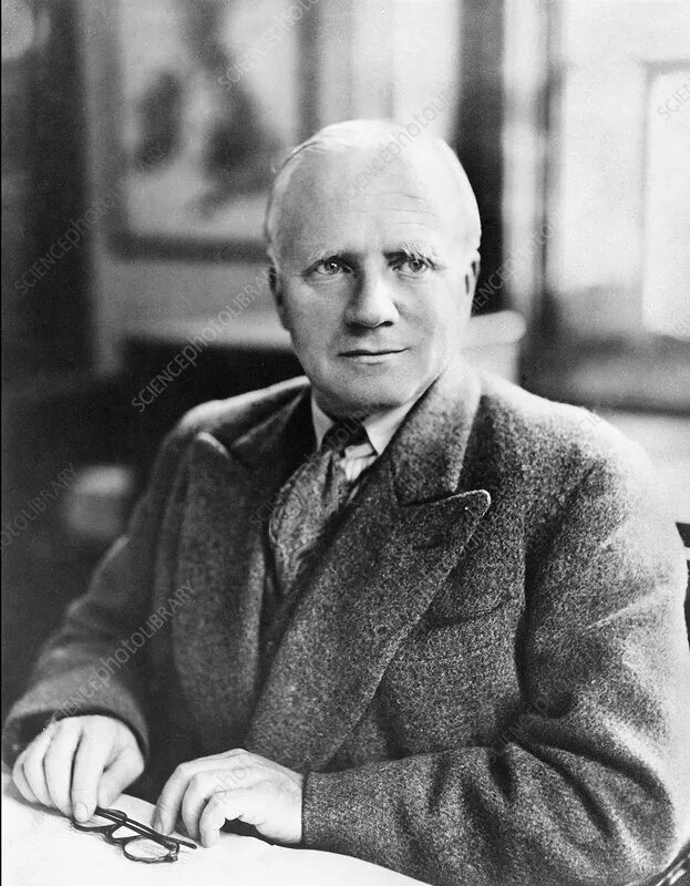 Де бире. Де бире. De beer book embryology and evolution 1930. Бельгиан бланш. Де бире.