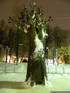 Загадать желание дереву