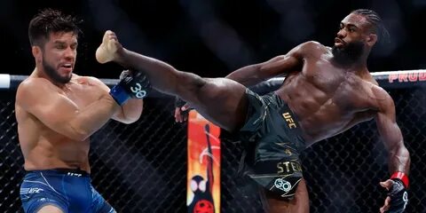 Чемпионы ufc 2023