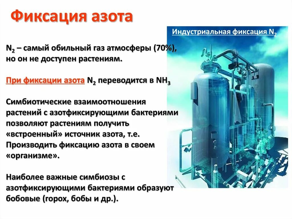 Повышение азота в атмосфере. Фиксация азота. Фиксация атмосферного азота бактериями. Механизм фиксации азота. Биологическая фиксация азота.