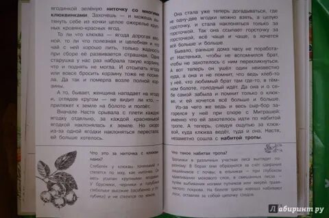 Кладовая солнца проверочная работа 5 класс