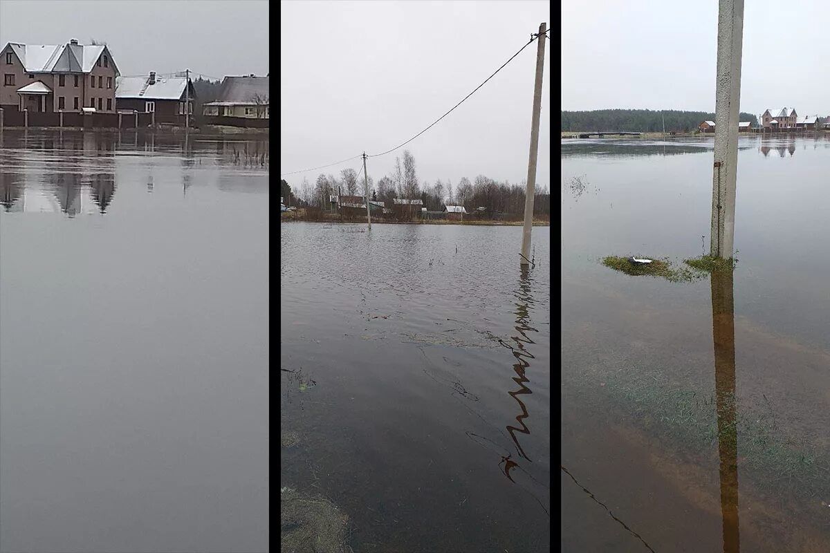 Кратковременный подъем уровня воды в реке вызванный. Деревня Елизаветино Тверская область. Уровень воды в Волге Тверь. Уровень воды в Максатихе Тверская область. Большая вода Киселево Тверь.