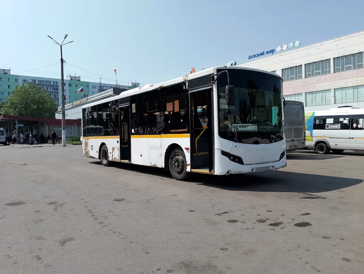 24 автобус. Ногинск авдотьино автобус. Лиаз 5256 скле. Маршрутки ногинск. Volgabus-5270.