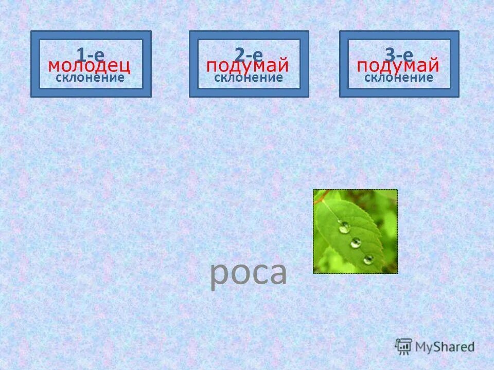 склонение существительных 1 склонения множественного числа. падежи и склонения таблица. склонения имён существительных в русском языке 4 класс. 3 склонение существительных в русском языке таблица. падежи.