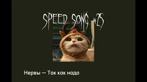 Нервы нервы speed