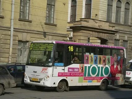 Сити 29
