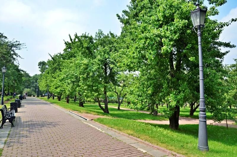 Установленная парке