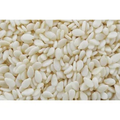 White Sunflower Seeds For Sale,Netherlands price supplier 21food