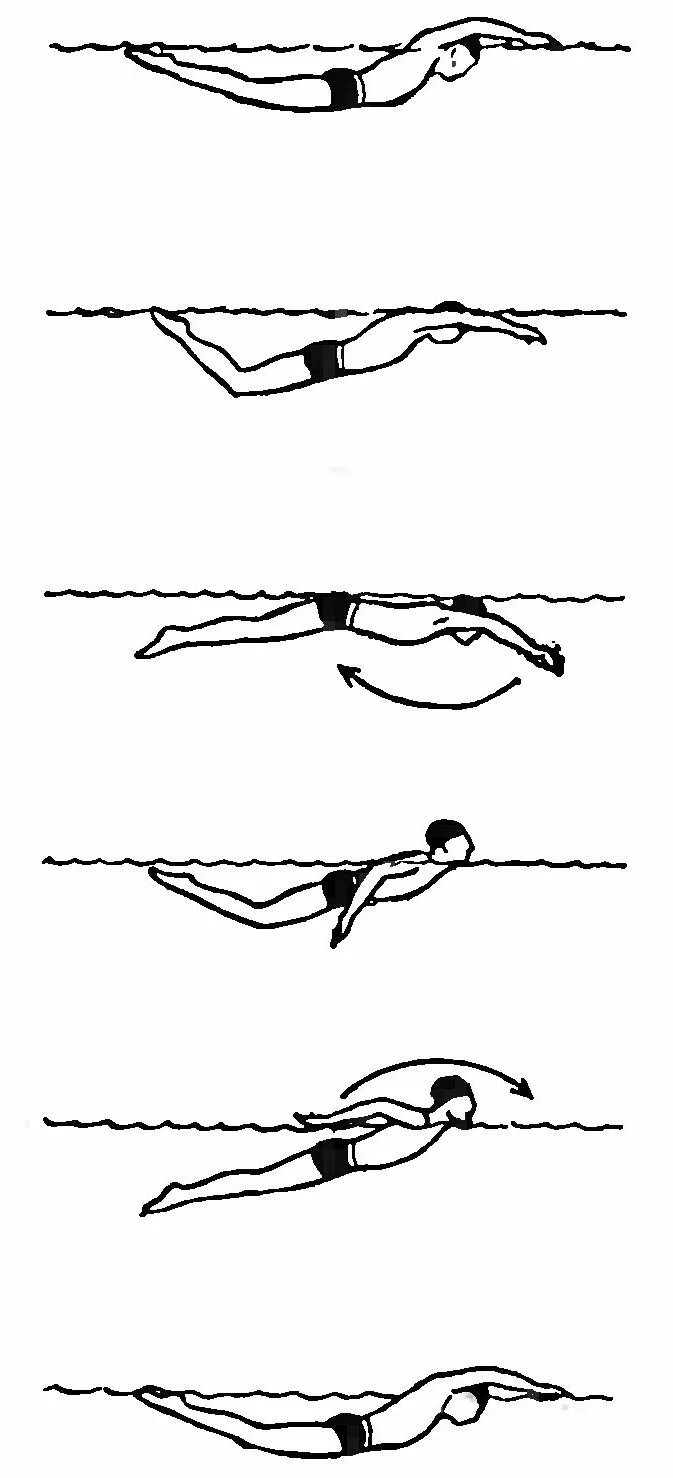 Баттерфляй плавание техника. Стиль плавания Баттерфляй. Техника плавания баттерфляем ноги. Плавание брасс Кроль Баттерфляй. Плавание кролем на суше