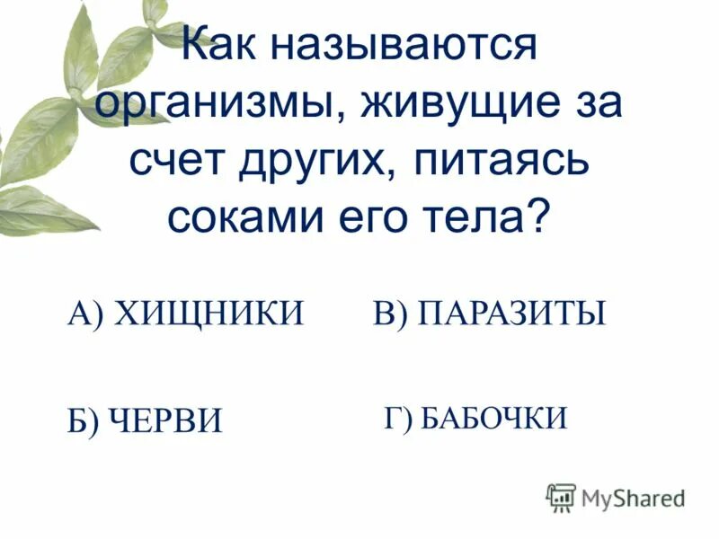 Человек живущий за счет других. Жить за чужой счет. Жить за чужой счет цитаты. Люди живущие за чужой счет афоризмы.