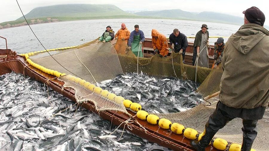 Добыча водных биоресурсов