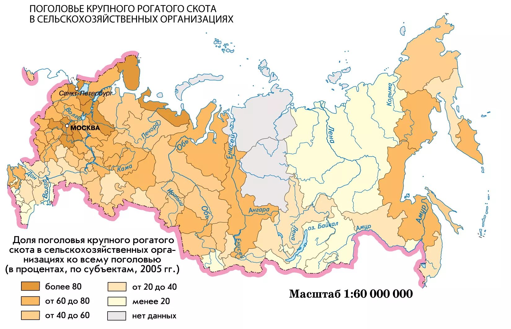 Карта сельскохозяйственных районов россии. Районы разведения крупного рогатого скота в России на карте. Молочно мясное скотоводство в России карта. Разведение крупного рогатого скота в России на карте. Карта поголовья крупного рогатого скота.