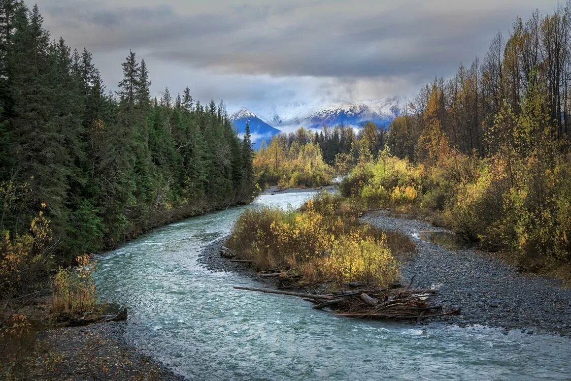 Текланика река на Аляске. Аляска национальный парк Чугач. Чугач (национальный лес). Горные реки Аляски. Река в сибири на б