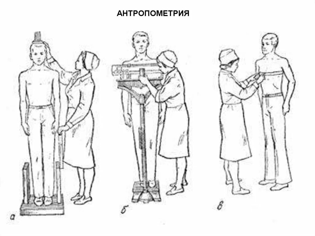 Исследование роста человека. Антропометрия взвешивание измерение. Антропометрические измерения роста. Антропометрия и соматометрия. Антропометрия измерение окружности грудной клетки.